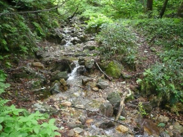 途中何箇所か沢を渡ります